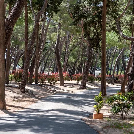 营地 Riviera Mobile *